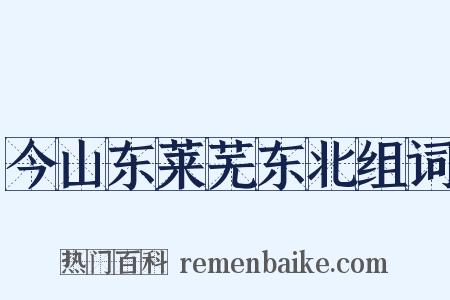 今山东莱芜东北组词是什么意思的图片